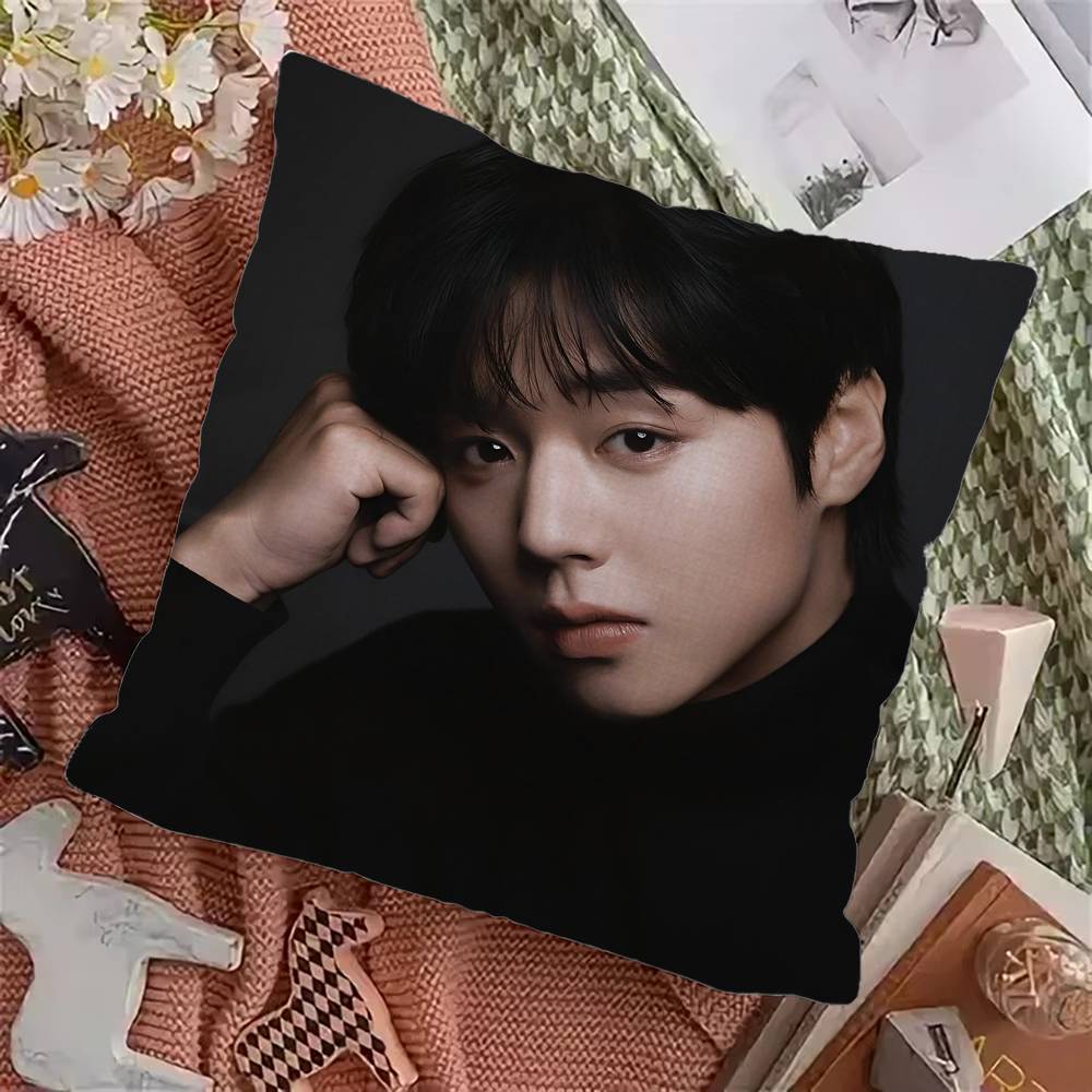 Korean P-PARK JI HOON Anime Pillow Cushion Cover Pillowcase Living Room Sofa Home Decor Customized