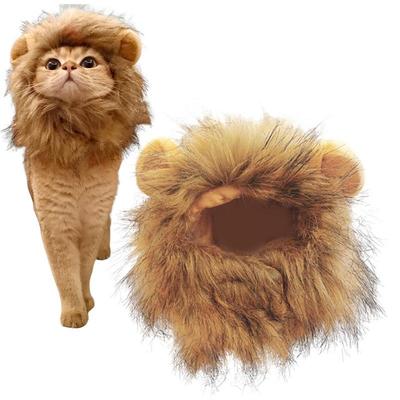 חתולים – בגדים לחתולים