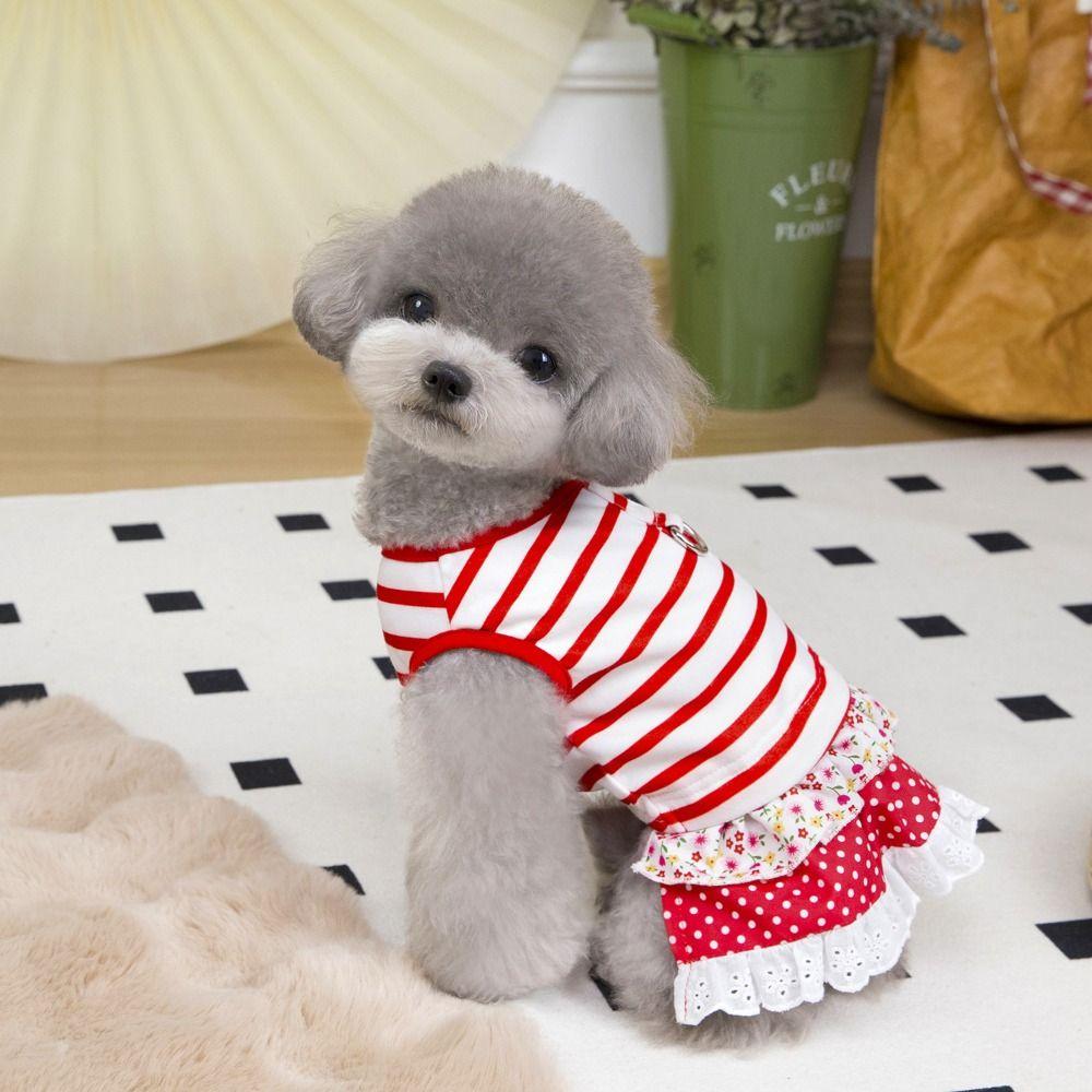 Cute Striped Dog Dress Soft Cat Vest Harness Pet Chest Strap Pet Princess Lace Skirt  Spring