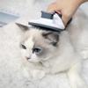Spazzola Autopulente Rimuovi Peli Animali Gatto Cardatore Rimuovi Peli Animali per Gatti Spazzole Toelettatura Pettini Cane Accessori Gatto
