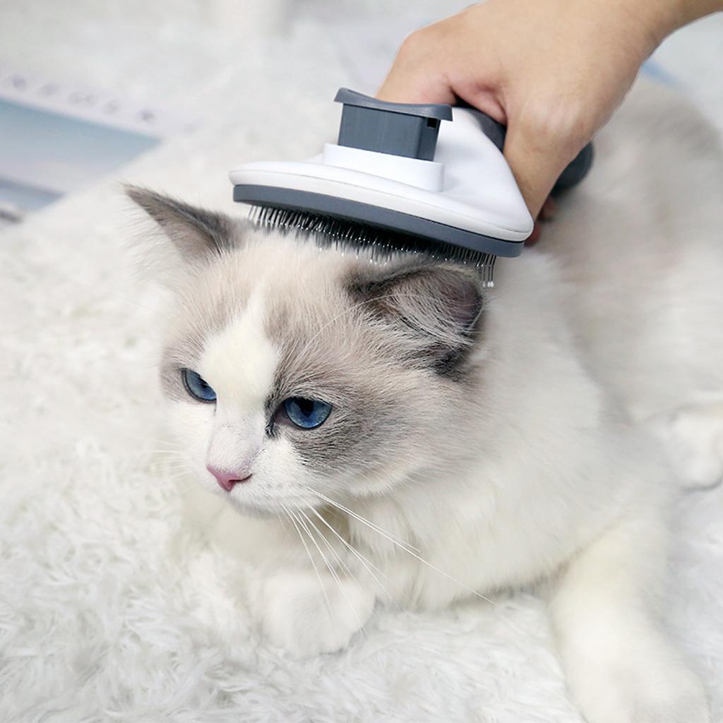 Spazzola Autopulente Rimuovi Peli Animali Gatto Cardatore Rimuovi Peli Animali per Gatti Spazzole Toelettatura Pettini Cane Accessori Gatto