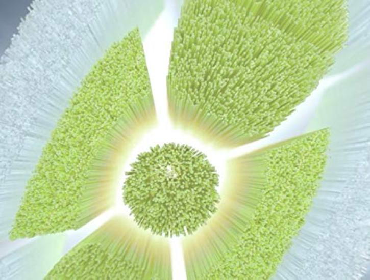 Zestaw szczoteczek wymiennych Sonicare Diamond Clean Mini 4 szt. HX6074/01 [Element]