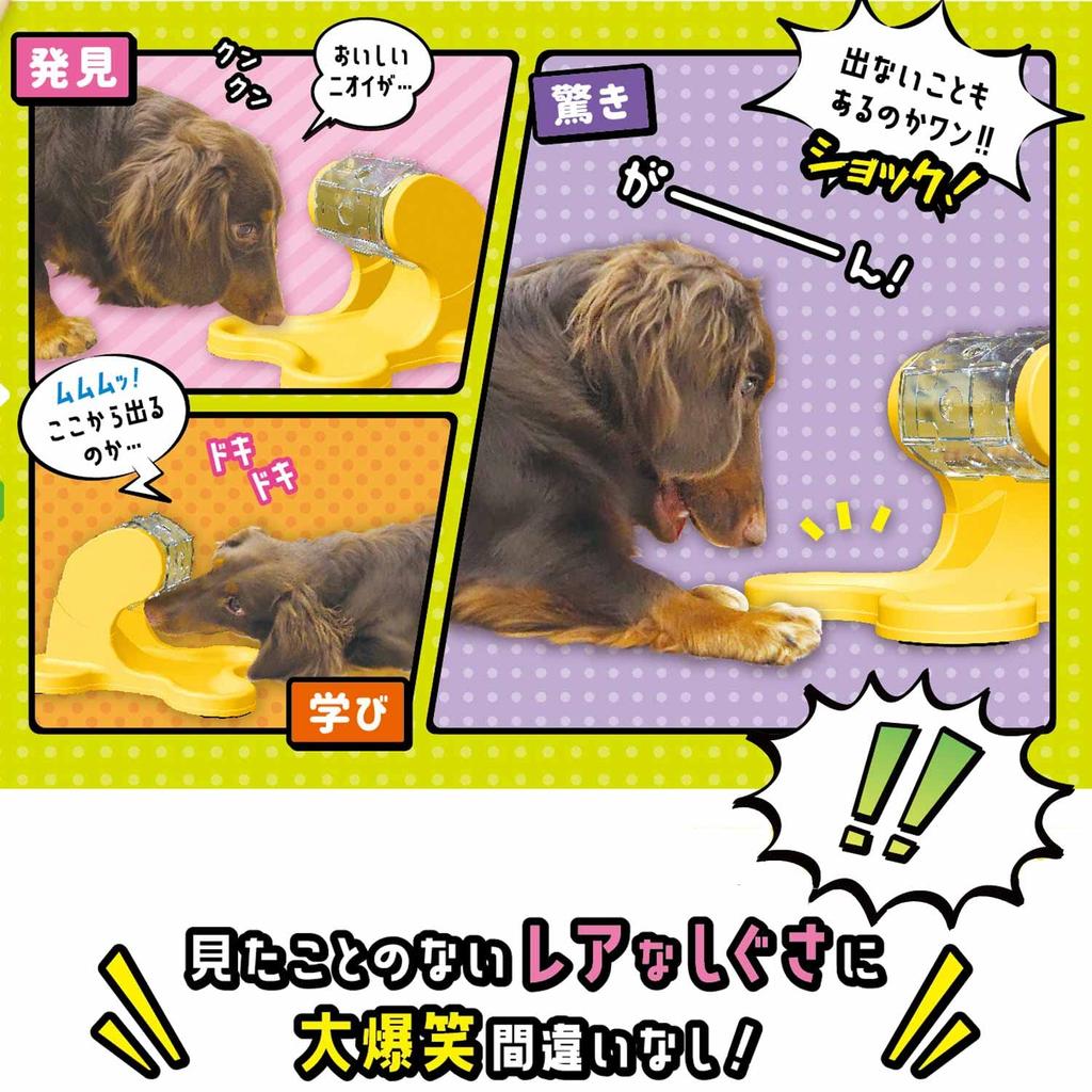 Doggyman Doggie Rice Bowl