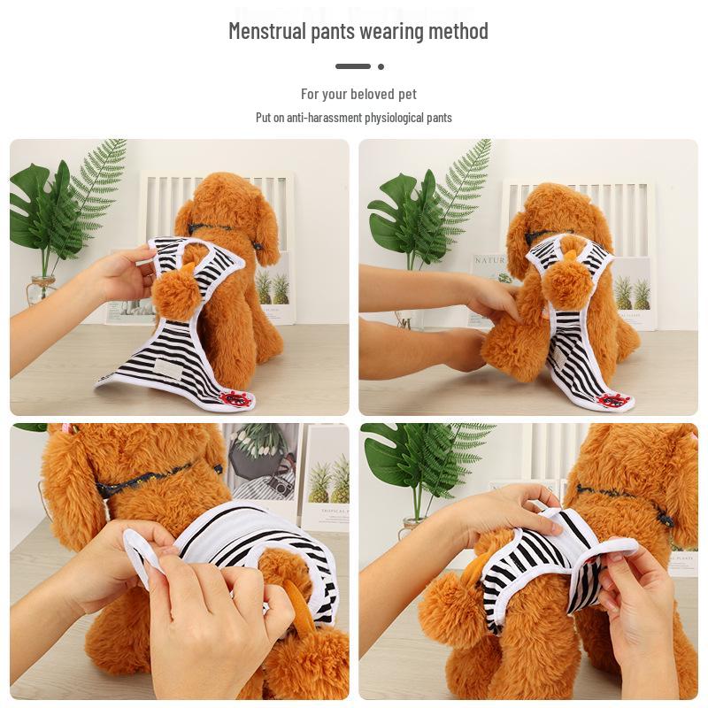Princess Pet Dog Sanitary Underwear: Teddy Physiological Pants for Female Dogs