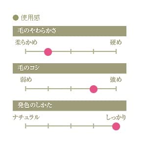 Kumano Makeup Brush (Makeup Brush) Chikuhodo Regular Series Eyeshadow Brush, Weasel, RR-S9, Red Line