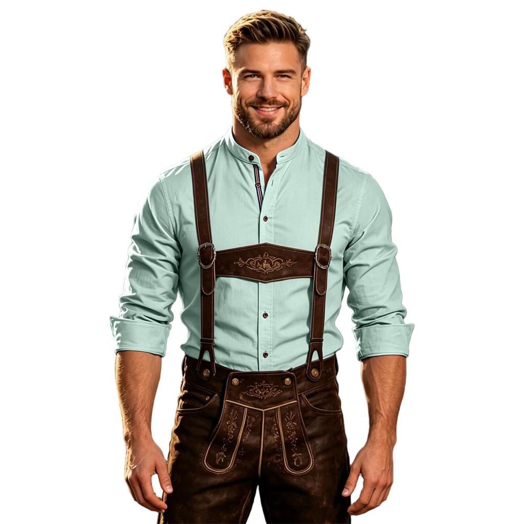 Herren Business Casual Langarmhemd Baumwolle Leinen Farbe für den Alltag