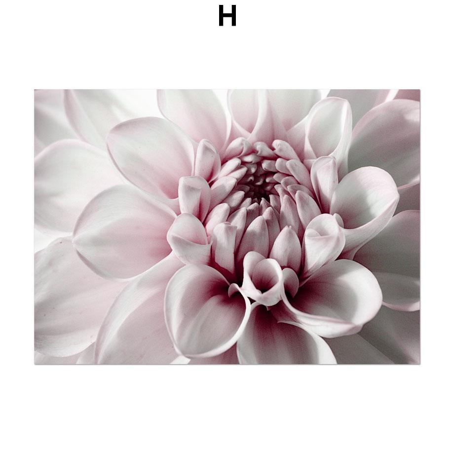 

Постеры на скандинавскую тему и принты, большой розовый пион, роза, листья, настенная живопись на холсте, настенные картины для гостиной, домашний декор 50x70cm No Frame