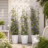 Decorative Garden Plant Trellis Iron Metal Plant Trellis Frame Plant Support Rack  Garden Trellis