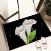 Bathroom soft diatom mud absorbent mat bathroom bathroom floor mat black dirt-resistant shower room anti-drop mat