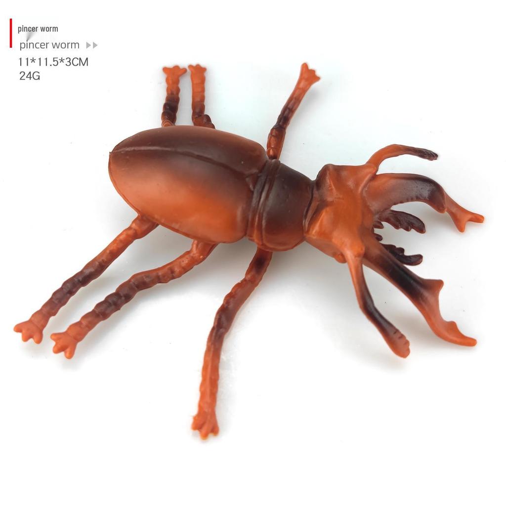 Children's Cognitive Teaching Toys: Insect Models - Butterfly, Ladybug, Rhinoceros Beetle, Bee, Grasshopper