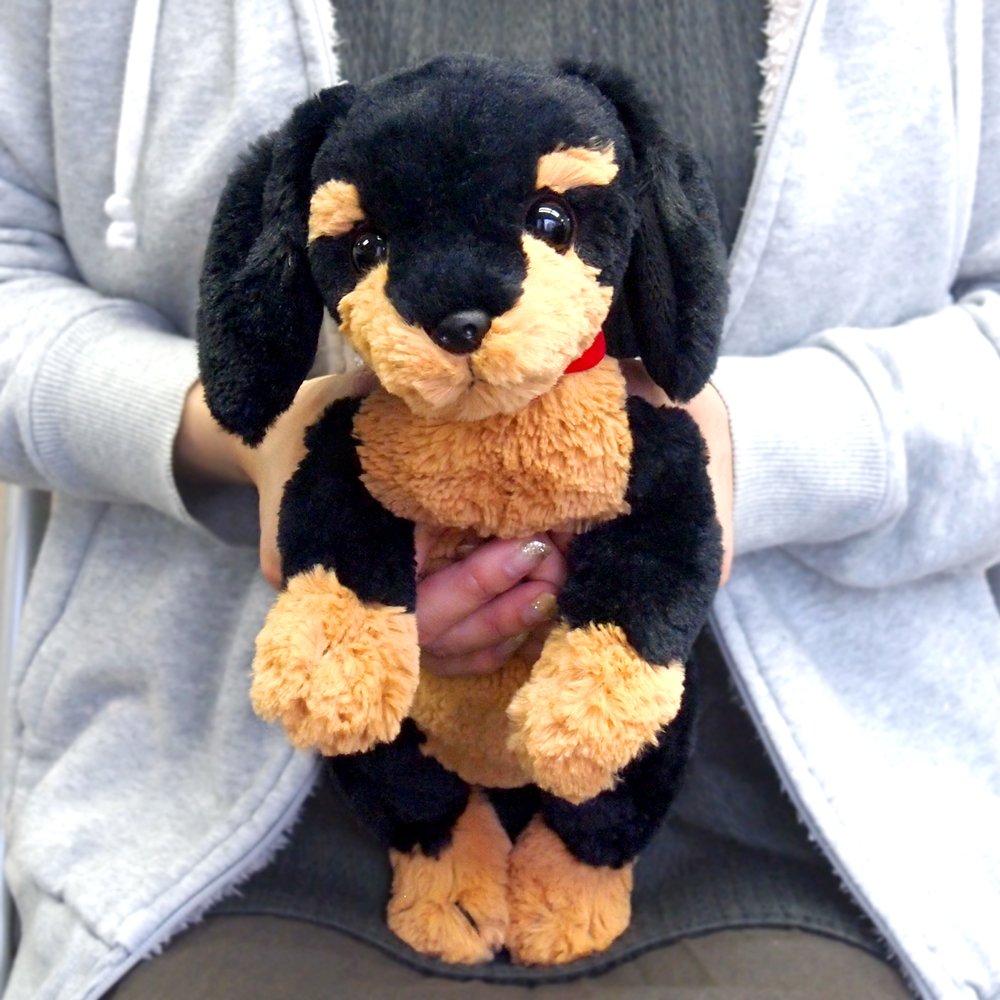 Knee Dog Miniature Dachshund Black Plush Toy S P-3012