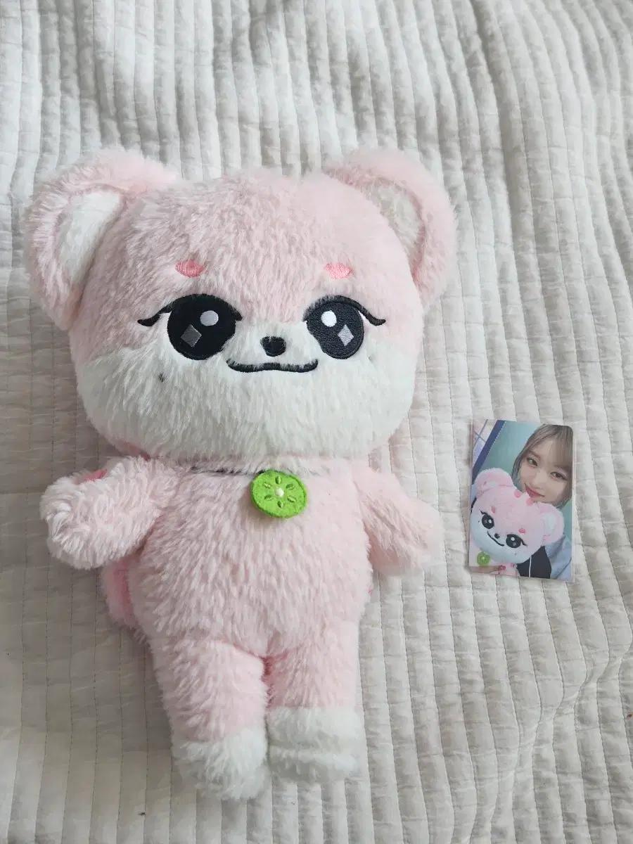 

IVE Mini 30cm Irani (including Poka) Used