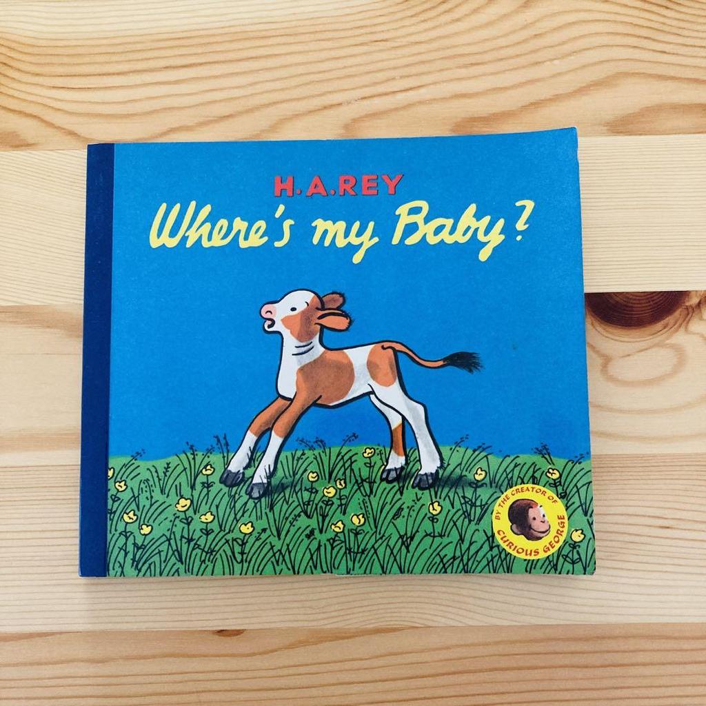 [USED] Rare vintage used English picture book H.A.REY picture book set of 4 English edition