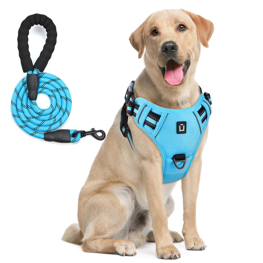 Dog Harness and Leash Combo, Escape Proof No Pull Vest Harness, with 5 Feet Leash, Reflective Adjustable Soft Padded Pet Harness
