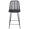 Barstool 2 Pcs 44.5 X 54.5 X 97.5 Cm Rattan and Iron