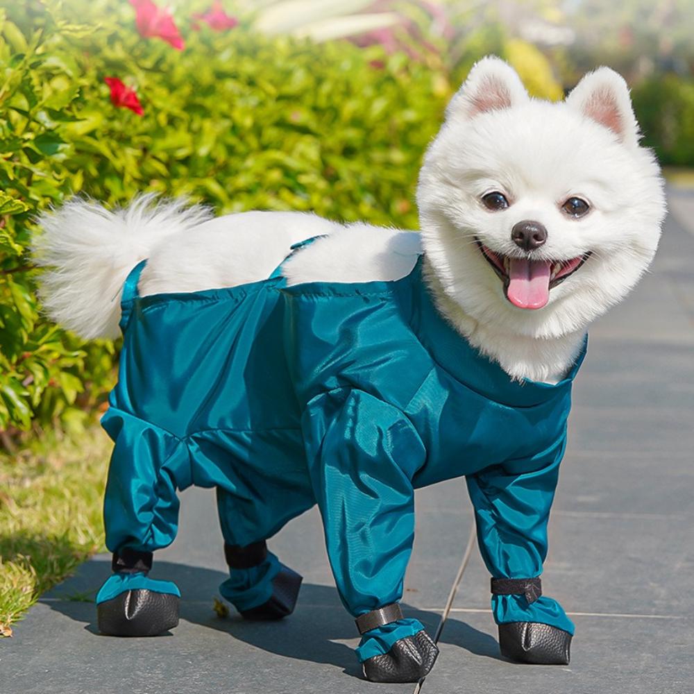 

Дышащие штаны для четвероногих собак, водонепроницаемые защитные собачьи лапы для маленьких и средних собак S павлин голубой