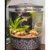 Peixes e animais aquáticos – Aquários
