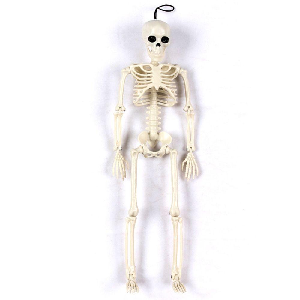 

Simulatded Skeleton Couple Figurines Plastic Skeleton Human Model Party without cloth