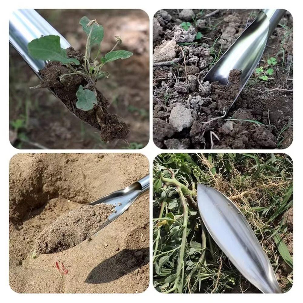 Durable Gardening Tool Set Stainless Steel Catching Vegetable Rake Planting Flowers