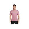 T-shirt à manches courtes et col rond coupe ample avec motif logo SB Hommes Hauts Prune-Poussière FZ6710-523