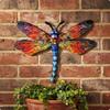 Libelle Muurkunst Eenvoudig op te hangen Metaal Decor Heldere Kleuren voor Tuin, Patio Stijl a