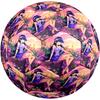 Pallone da Calcio Winx Club Taglia 5, Adatto per Partite Indoor e Outdoor, un Regalo Adatto a Tutti.