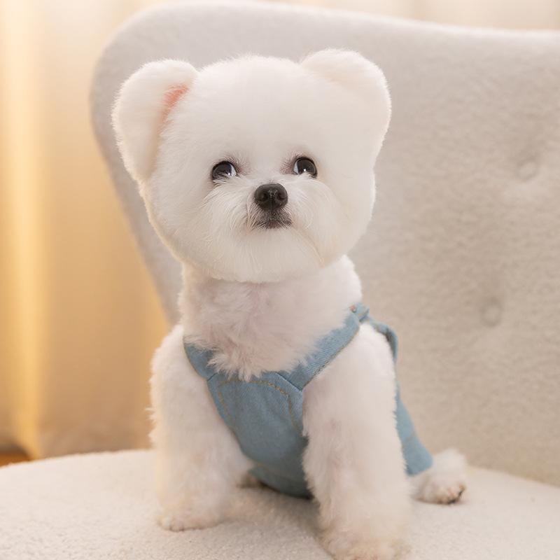 Spring and Summer Thin Breathable Pet Clothing Denim Small Teddy Than Bear Cat Vest Puppy Dog Clothes