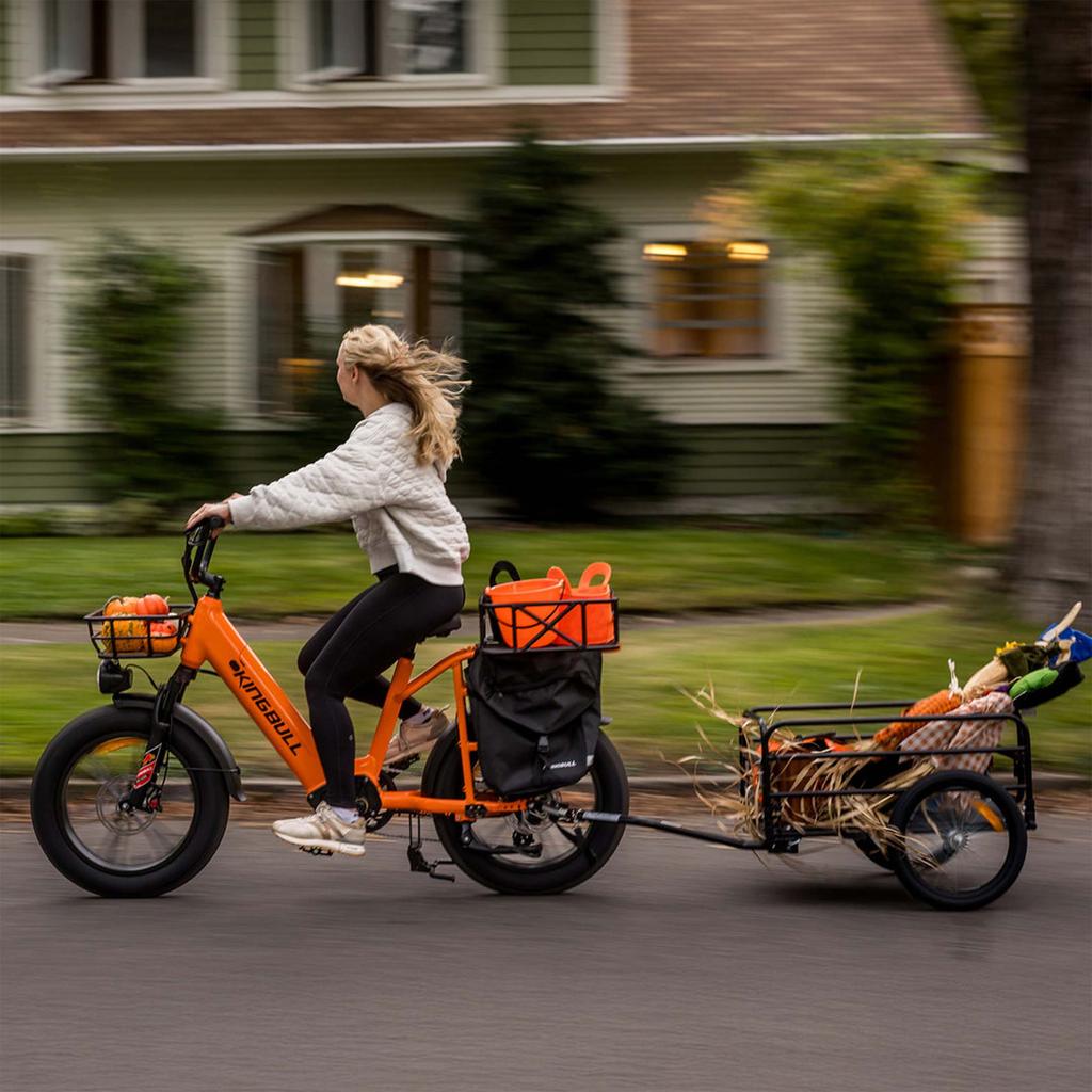 KINGBULL Voyager 2.0 20-Zoll Cargo E-Bike mit einem 48V 15Ah Akku, einem 750W Motor, maximaler Reichweite von bis zu 90 Kilometern.