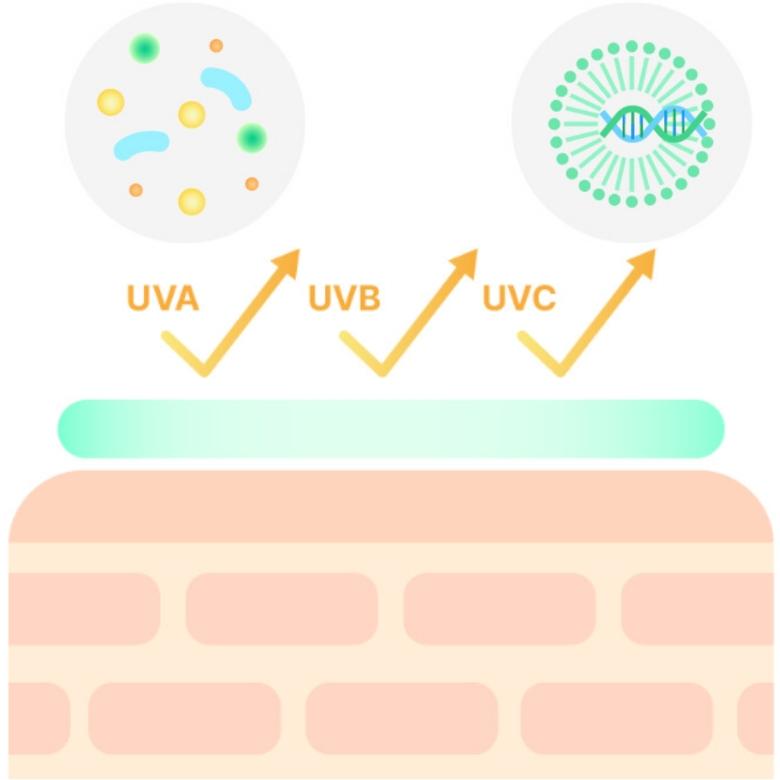 THERADERM Master Orga Clear Sunblock SPF50+ PA++++ 50g