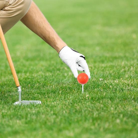 Yousheng Rubber Golf Practice Ball, Double-Layer Putting Swing Training Golf Ball, Professional Golf Ball for Driving Range Indoor Outdoor