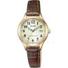 Citizen Reguno Solar Radio-Controlled Women's Watch Waterproof Arabic Numerals Brown Leather Gold