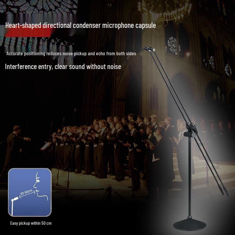 HuDu HD-S1 Professional Floor-Standing Microphone (CN version)