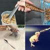 Vogelfütterungslöffel Haustier Vogel Papagei Vogelkäfig Futterlöffel Hinzufügen Edelstahl Fütterer Vogelfutterlöffel Fütterung Vogelbedarf
