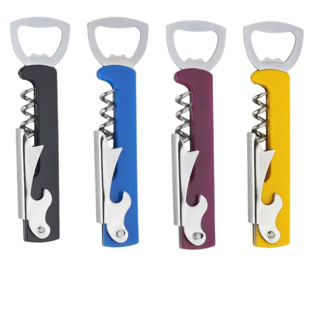 Bouteille portable personnalisable en acier inoxydable et tire-bouchon