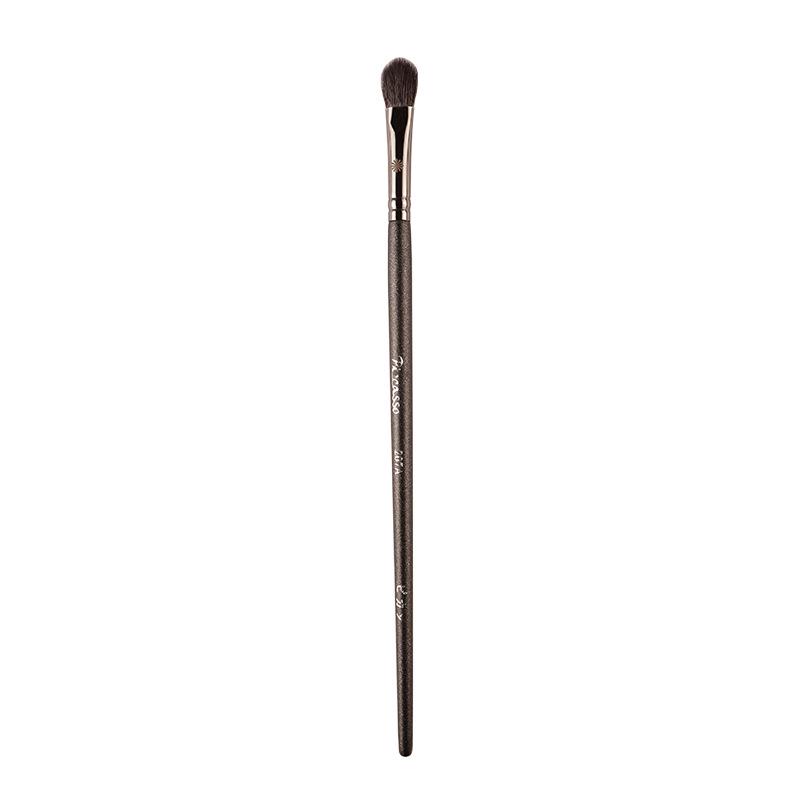 Picasso Makeup Brush Set: Eyeshadow, Wool Animal Hair, Nose Shadow, Concealer, Blush Brushes.