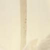 LACOSTE Cropped pants 42 off white Women Used