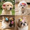 16 pièces Pince à Cheveux pour Animaux Multicolore Tissu Doux Pince Nœud pour Animaux Aspect Mignon Nœud à Cheveux pour Chiot Décoration de Fête