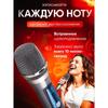 Wireless Microphone for Live Vocals, Gray