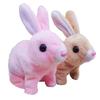 Robot rabbit, a robot that mimics a rabbit, a rabbit robot for children, capable of walking, barking and wagging its tail, is a birthday gift.