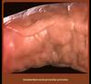 Silicone Realistic Dildo & Butt Plug - Soft Flesh Female Masturbation Toy