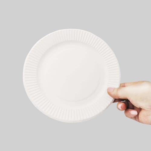 Paperware Paper Plates, 18cm, Extra Pack of 120 (100 + 20), Made In Japan, E-18120