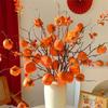 Persimmon Fruit Flower Arrangement: New Year's Dried Floral Decoration