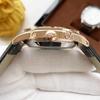 Business Casual Men's Automatic Stainless Steel Mechanical Watch Leather Strap
