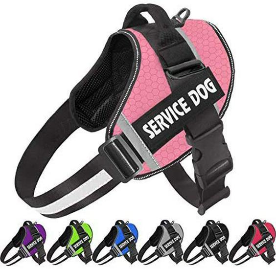 Reflective Pet Harness & Leash - Comfortable Vest-Style Design