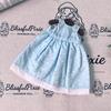 BlissfulPixie Handmade Waldorf Doll Clothes 30cm Outfit Set in a Lovely Box - Girl's Christmas Birthday Gift - Louise's Clothing Accessories
