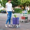 TANCHUAN Portable Foldable Shopping & Utility Cart