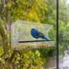 Clear Window Bird Feeder Acrylic Birdhouse Box With Strong Suction Cups Clear Window Bird Feeder For Cats For Kids Adults