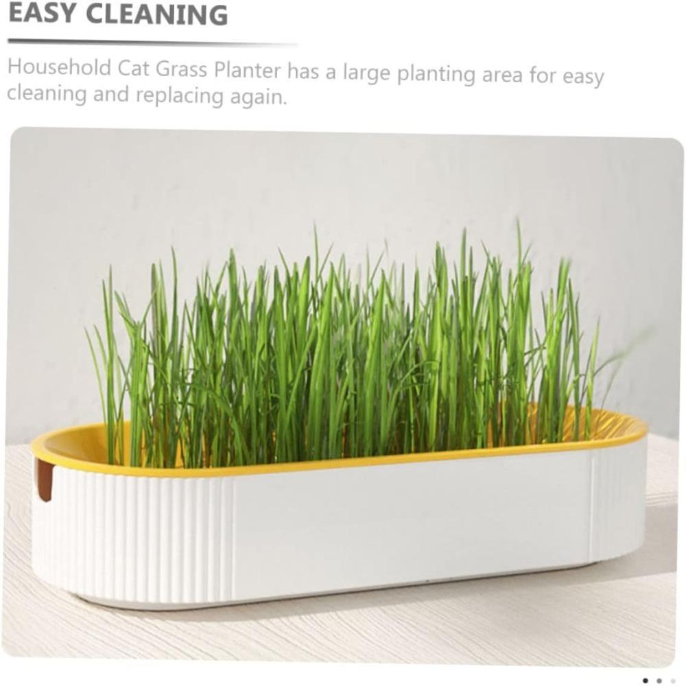 Cat Grass Plant Box Pet Growing Pot for Kitten Reusable Cat Snack Catnip Hydroponics Planting Container Greenhouse Grow Box
