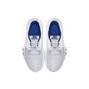 Nike Flex Control 3 Wolf Grey Deep Royal Blue Tênis Masculino Branco AJ5911-004