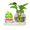 Desktop Decorative Hydroponic Ornaments